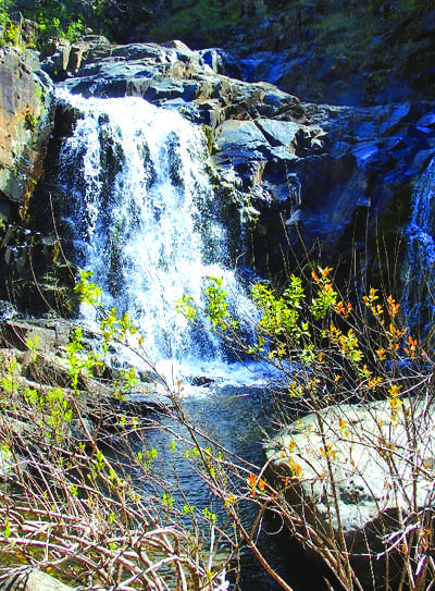 Dutch Creek Falls Waterfall with trees and rocks