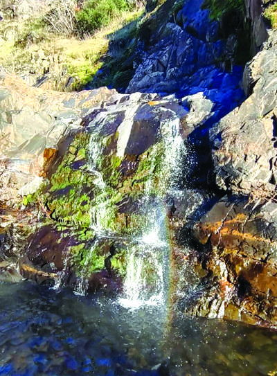 Dutch Creek Falls waterfall with trees