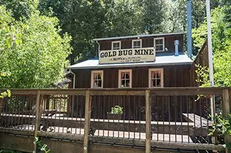 Exterior view of the historic Gold Bug Mine building with its iconic sign, nestled among lush green trees near Coloma - just a short 9.5-mile drive from the Bella Vista Bed and Breakfast Inn.