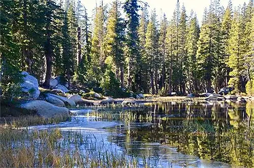 South Fork American River a premier whitewater rafting destination