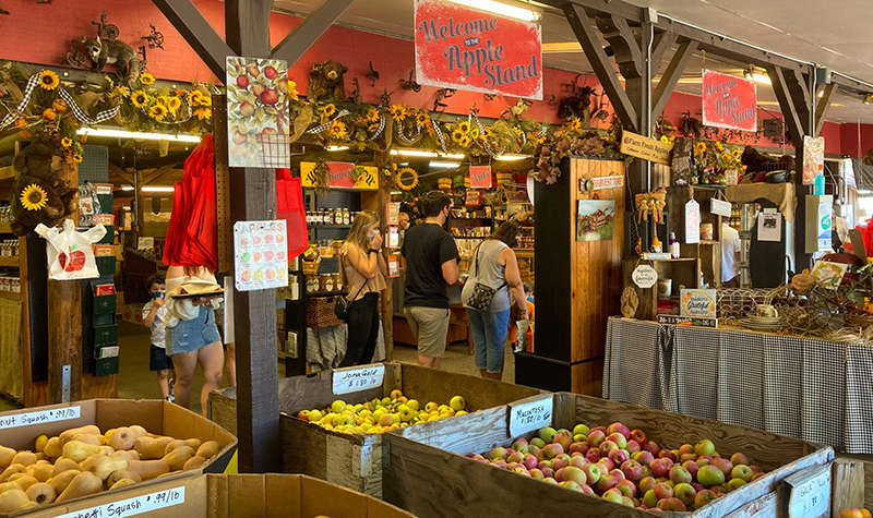Shoppers browsing crates of apples and fall produce inside a decorated Apple Hill farm stand